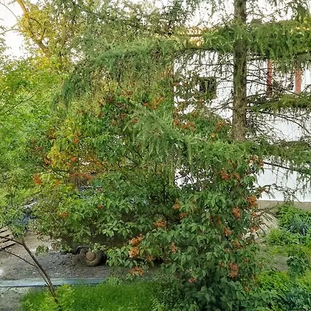 Familuks - Apartementy Ligota Apartamento *